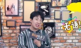 男艺人塌房爆料视频大全,男艺人塌房视频大揭秘